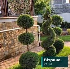 Всі послуги садівника! Бровари,Княжичі,Димерка - Послуги садівника, догляд за територією Бровари на Olx